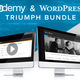 Illustration for article titled Name Your Own Price On This Bundle Of WordPress Themes